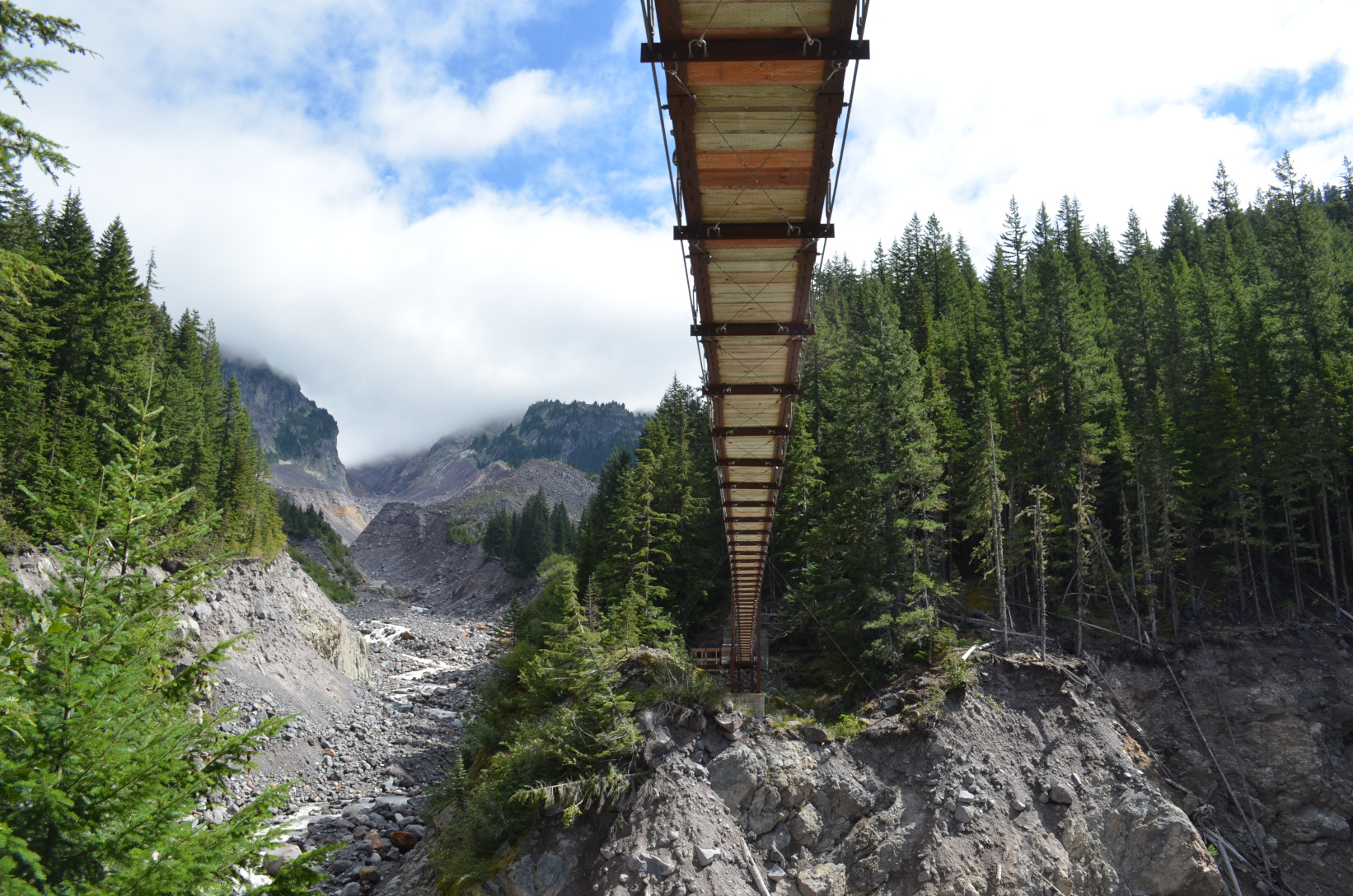 Underneath Tahoma Creek Suspension Bridge