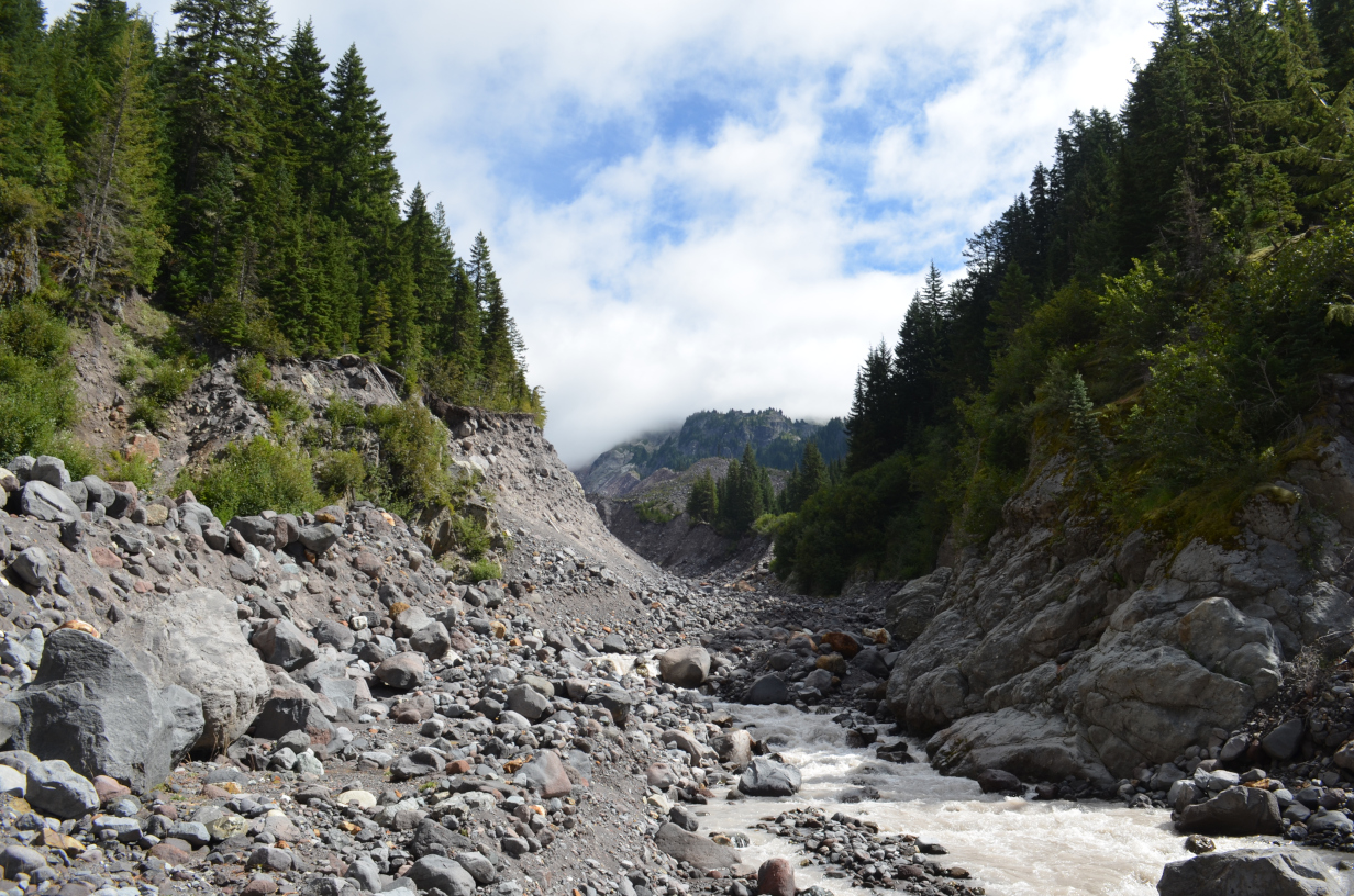 Tahoma Creek, looking upstream from near the bridge