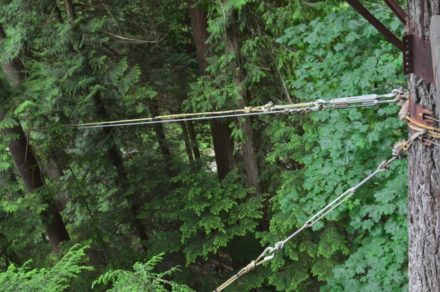 Detail of support cables for Capilano treefort