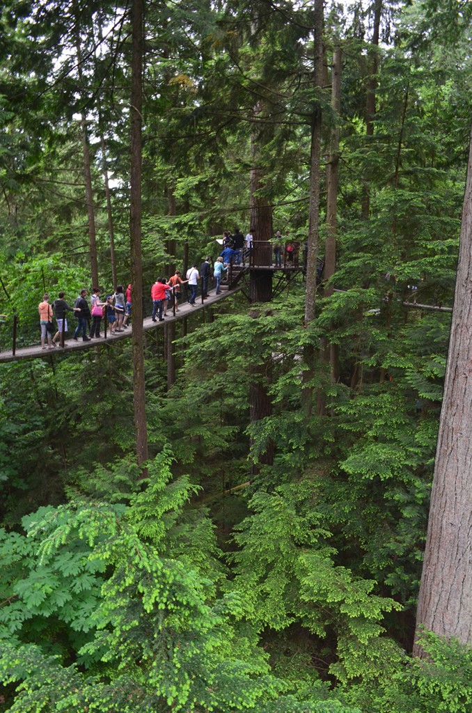 View of people enjoying the Capilano treefort