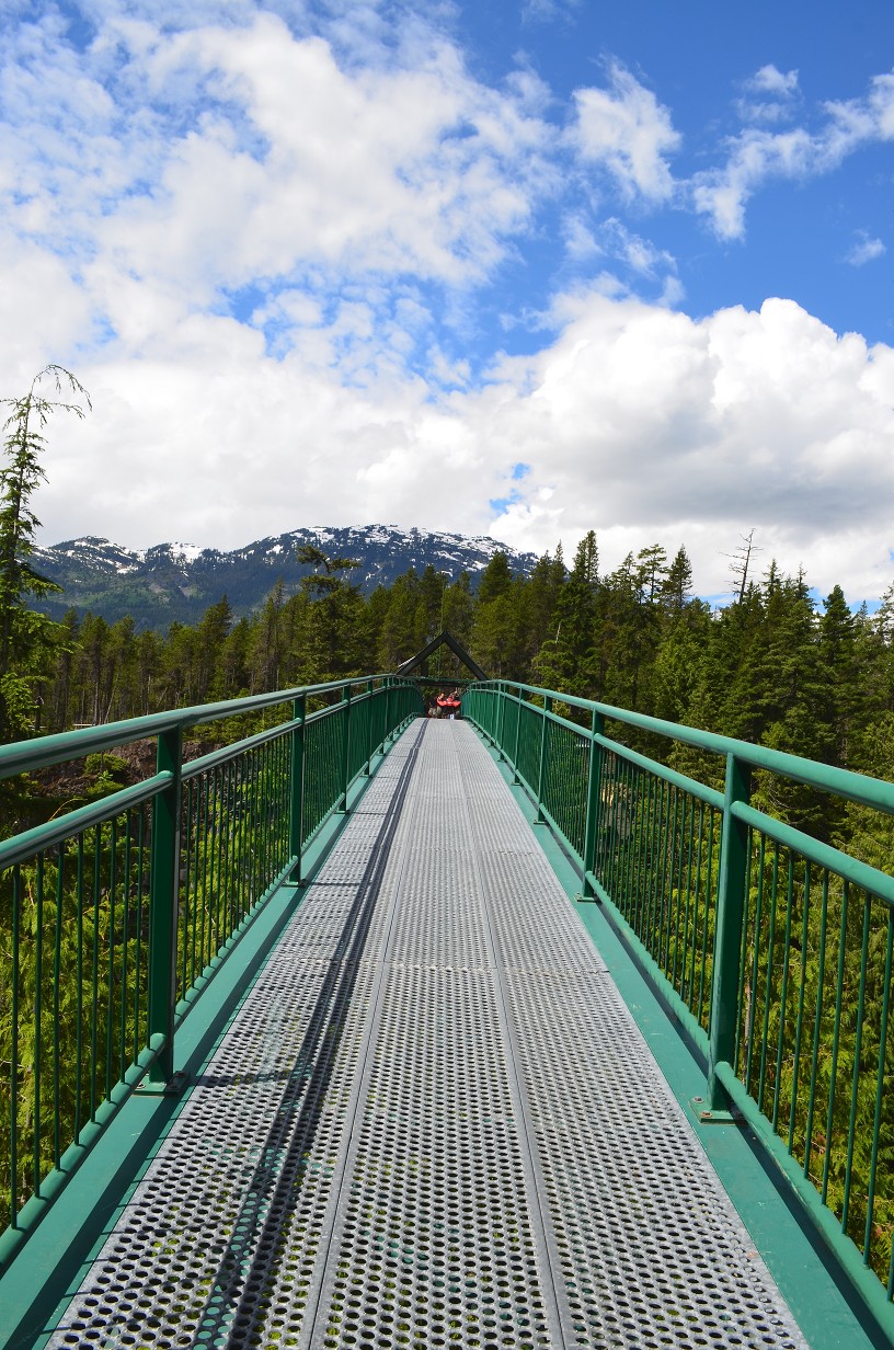 View across Whistler bungee bridge