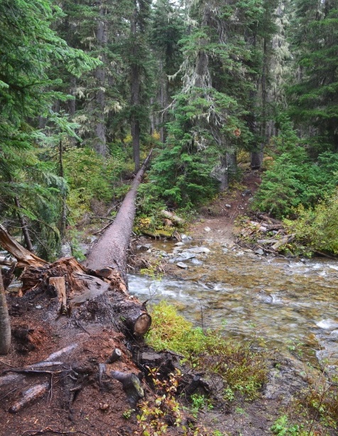 Log replacement for Bridge Creek Bridge, Pacific Crest Trail